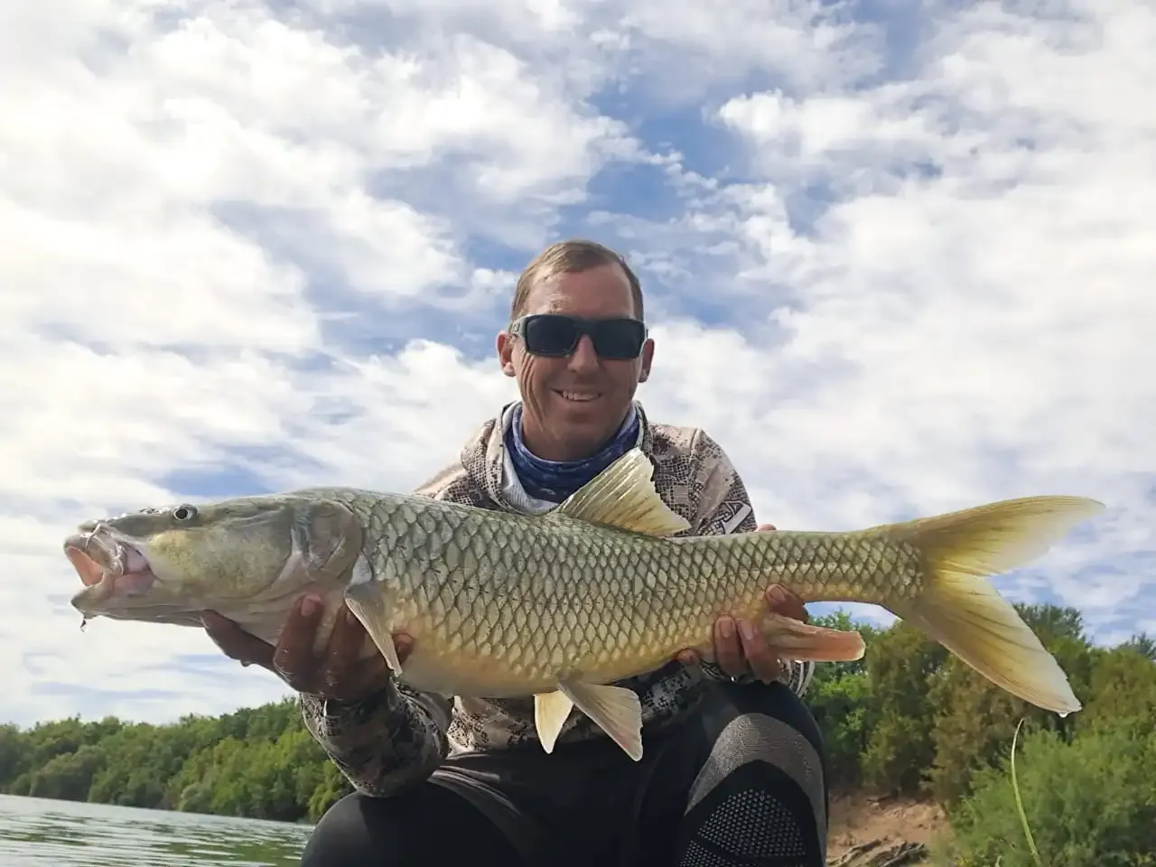 An angler presenting a yellowfish beside the river