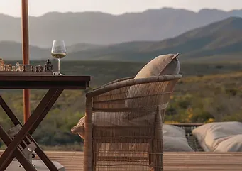 Wine Tasting & Tours