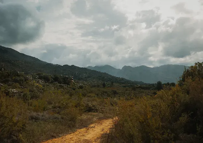 Biking in the Valley