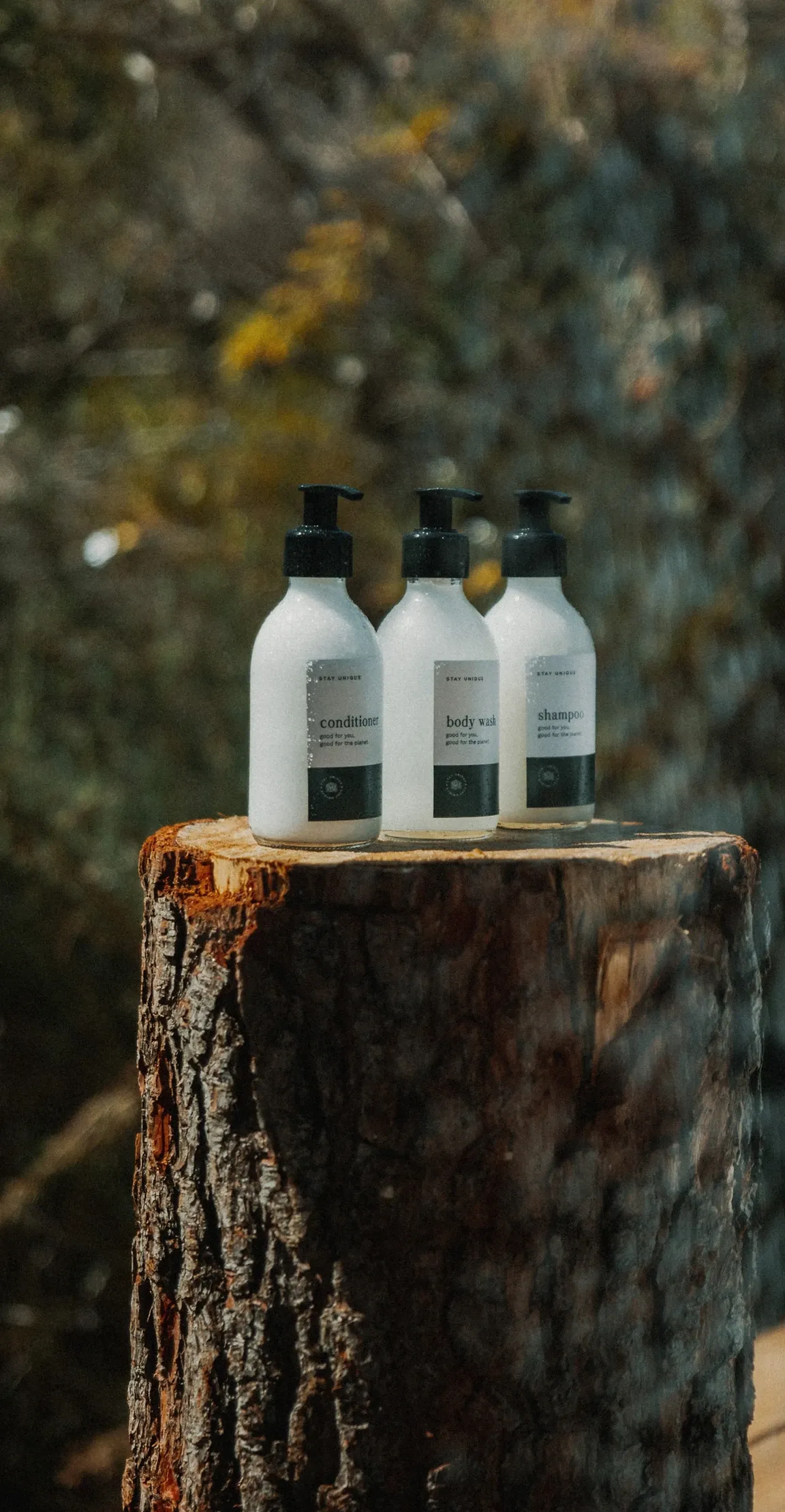 Ceci Cabin details 4