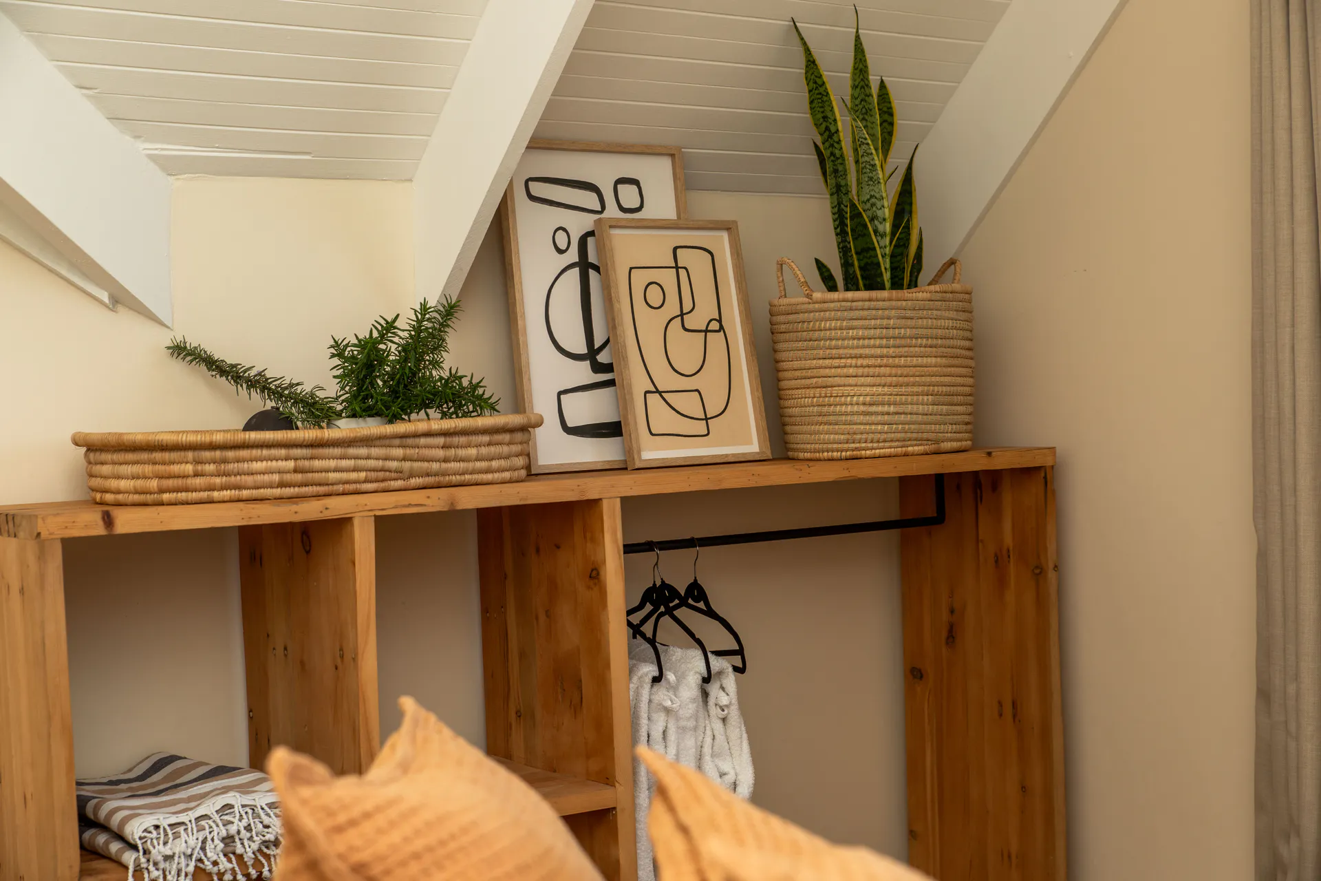 Open wardrobe and snake plant in the Sea Facing Apartment