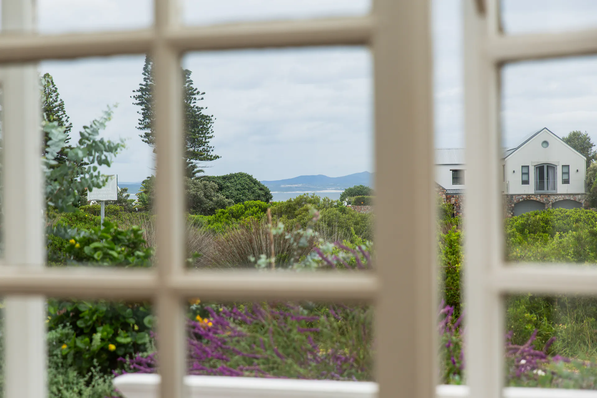 Garden, neighbour and sea from a Ground Floor Apartment window