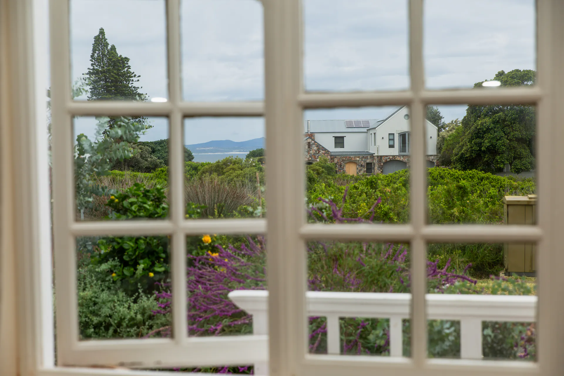 Garden and sea view from a Ground Floor Apartment window